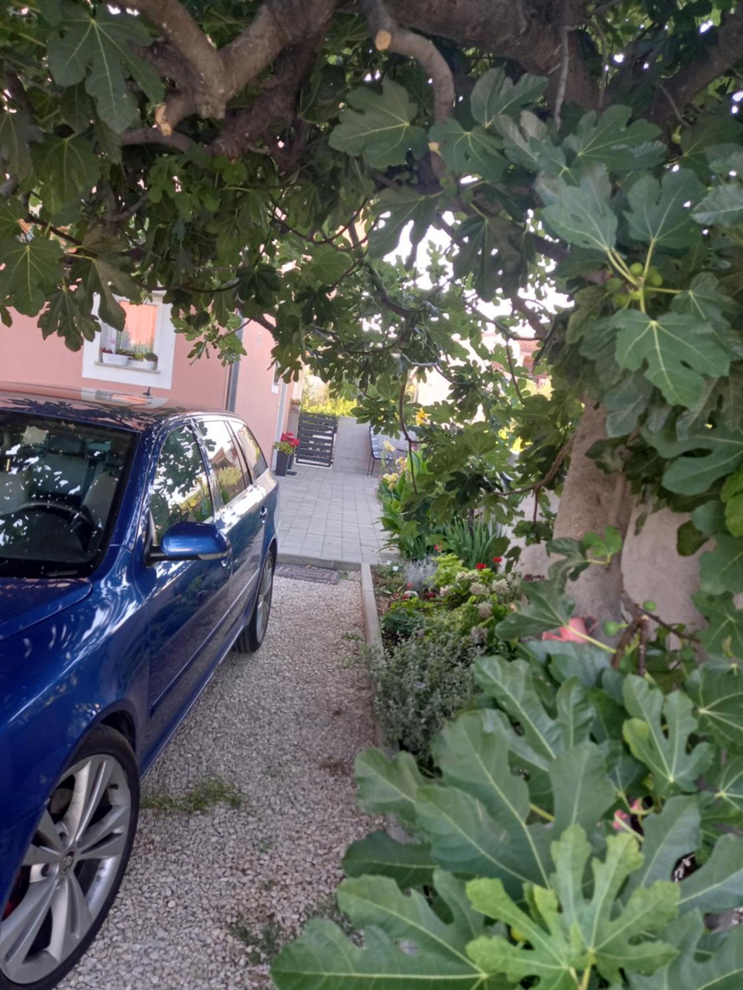Ferienwohnung Dani Zadar Zimmer foto