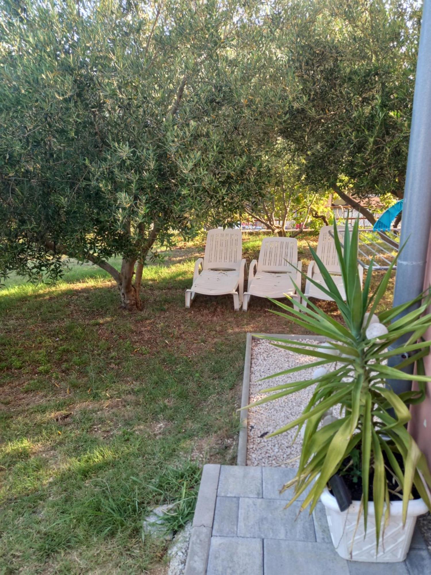 Ferienwohnung Dani Zadar Zimmer foto