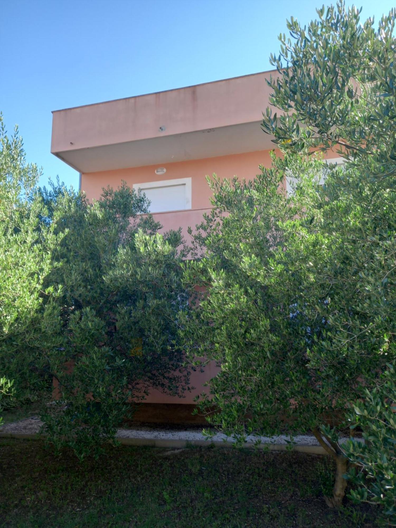 Ferienwohnung Dani Zadar Exterior foto